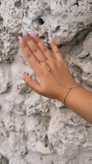 18k Gold Filled Conch Shell Rolo Link Clone