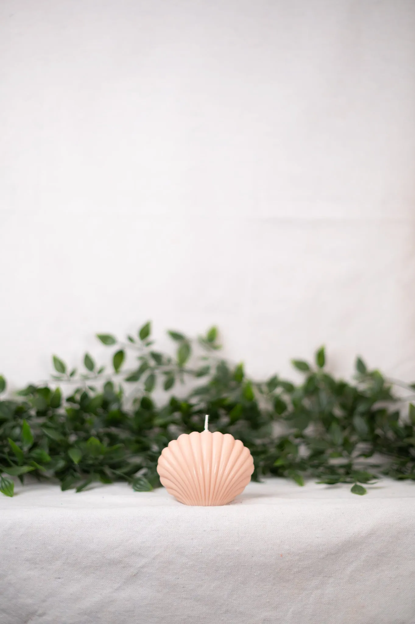"Shell" Candle Collection