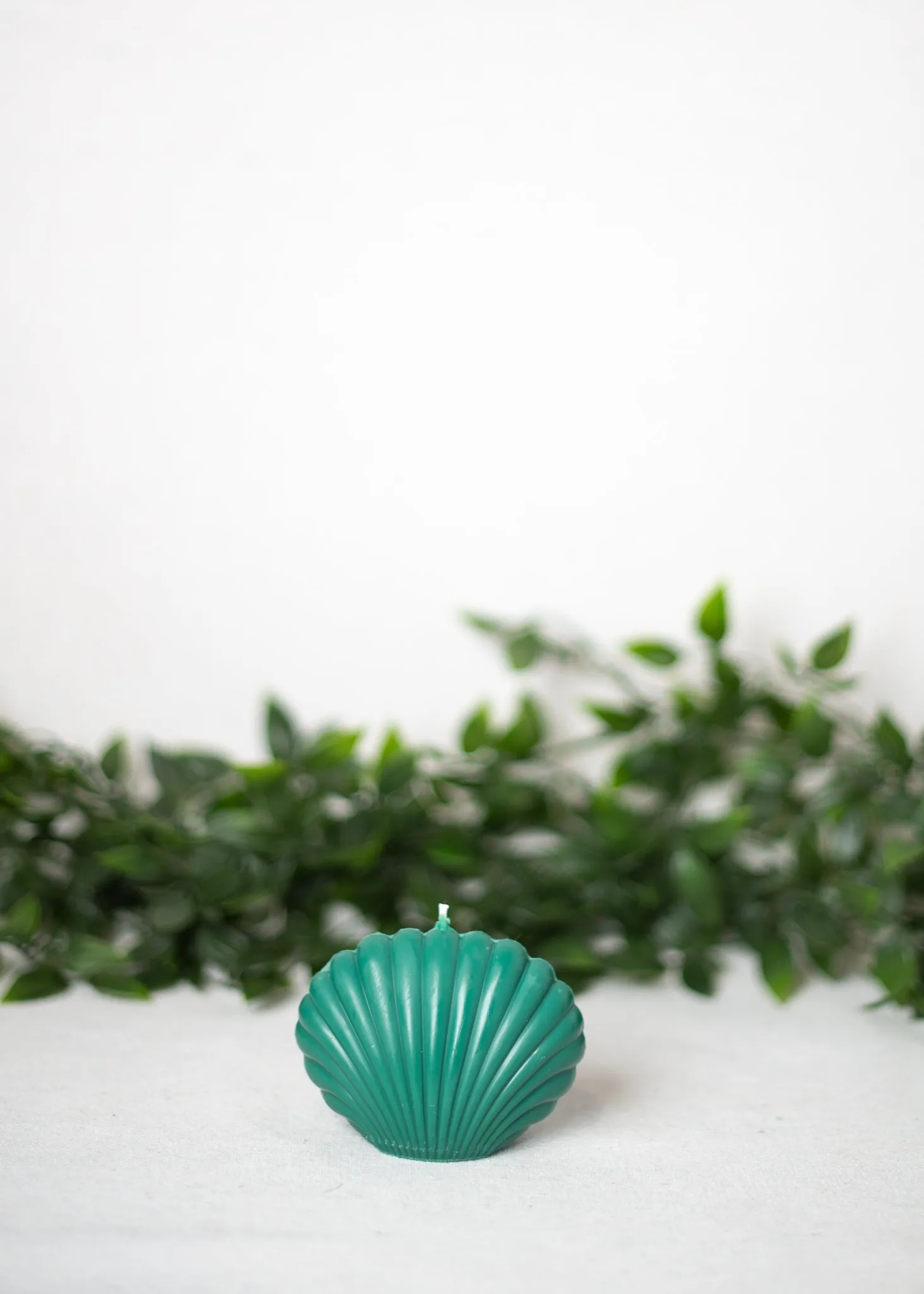 "Shell" Candle Collection