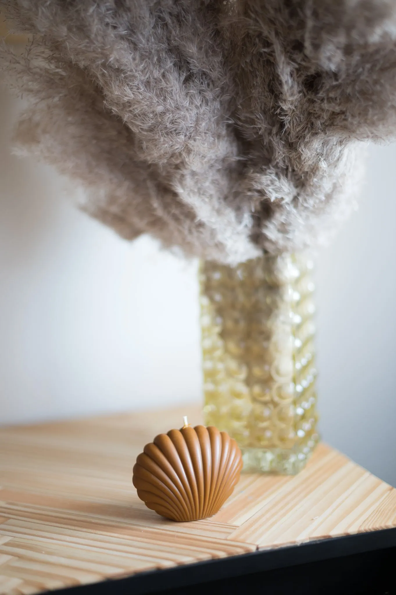 "Shell" Candle Collection