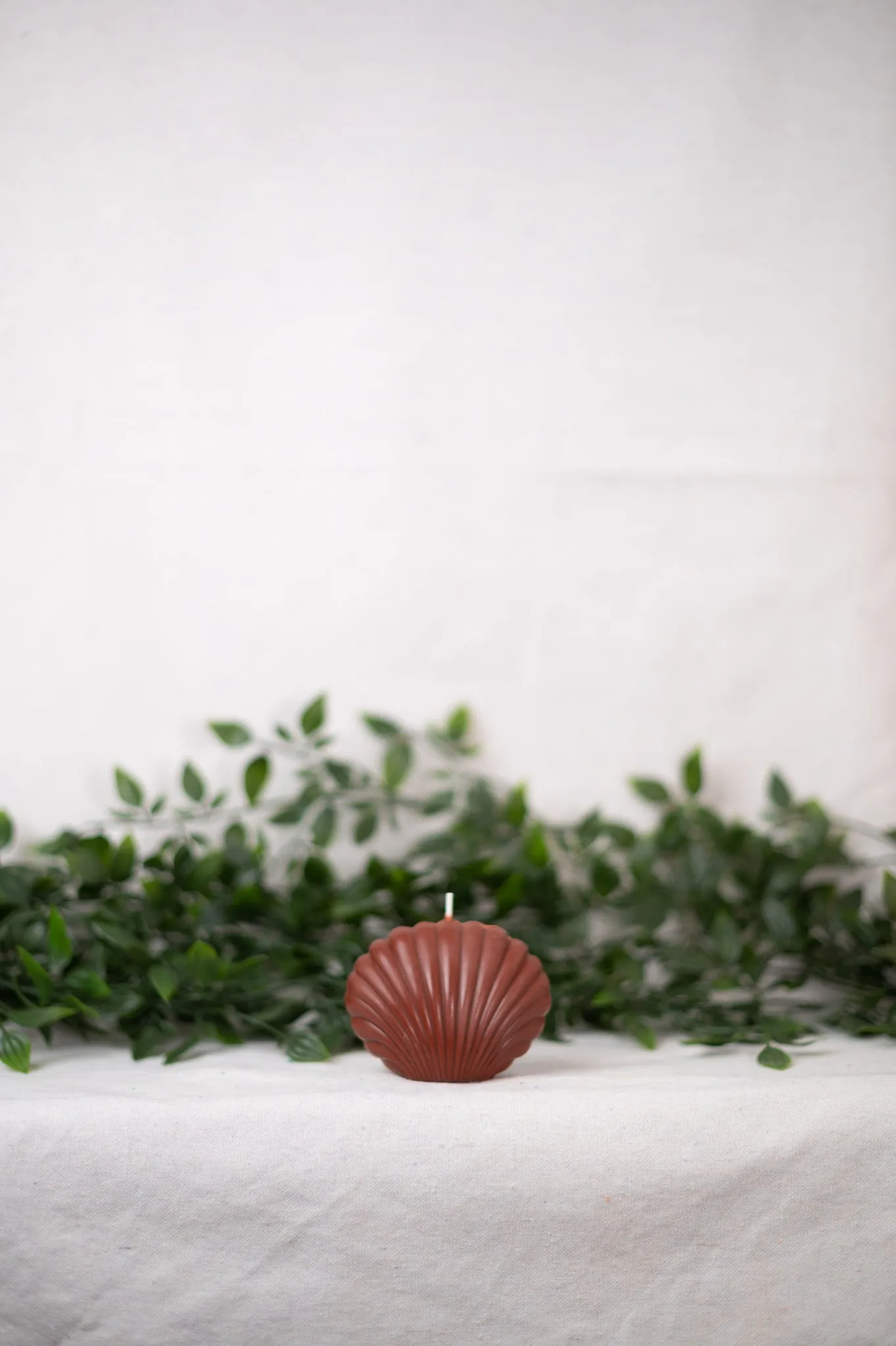 "Shell" Candle Collection