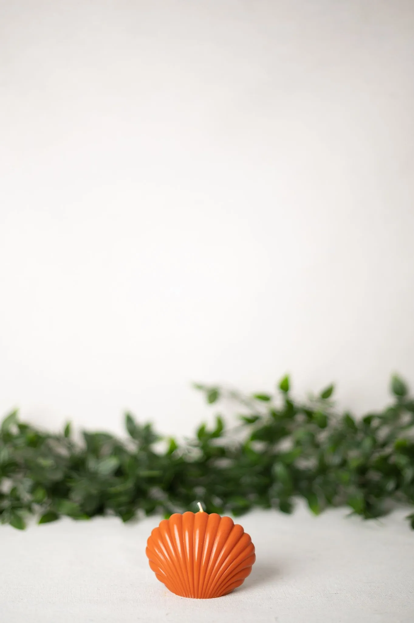 "Shell" Candle Collection