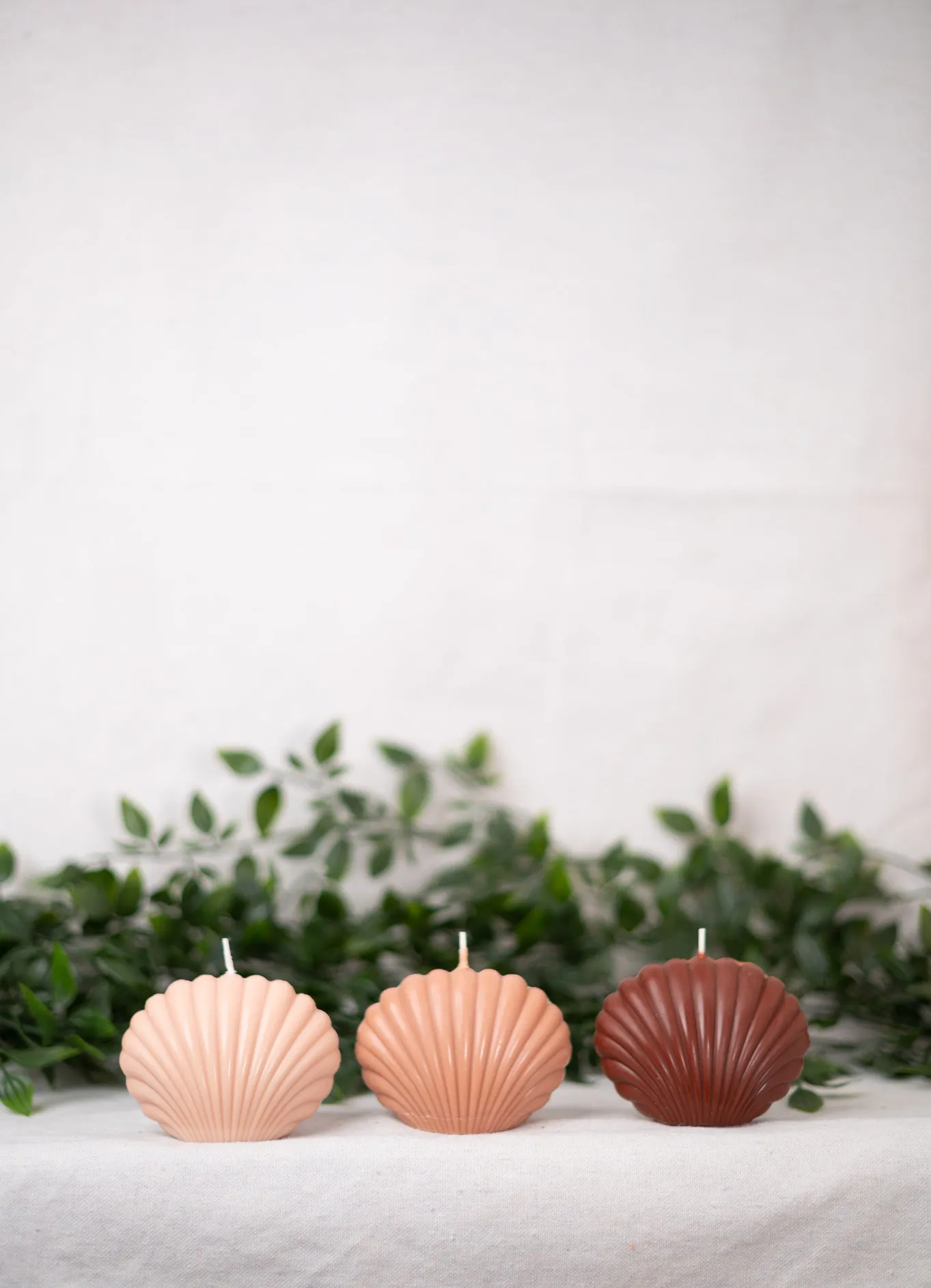"Shell" Candle Collection