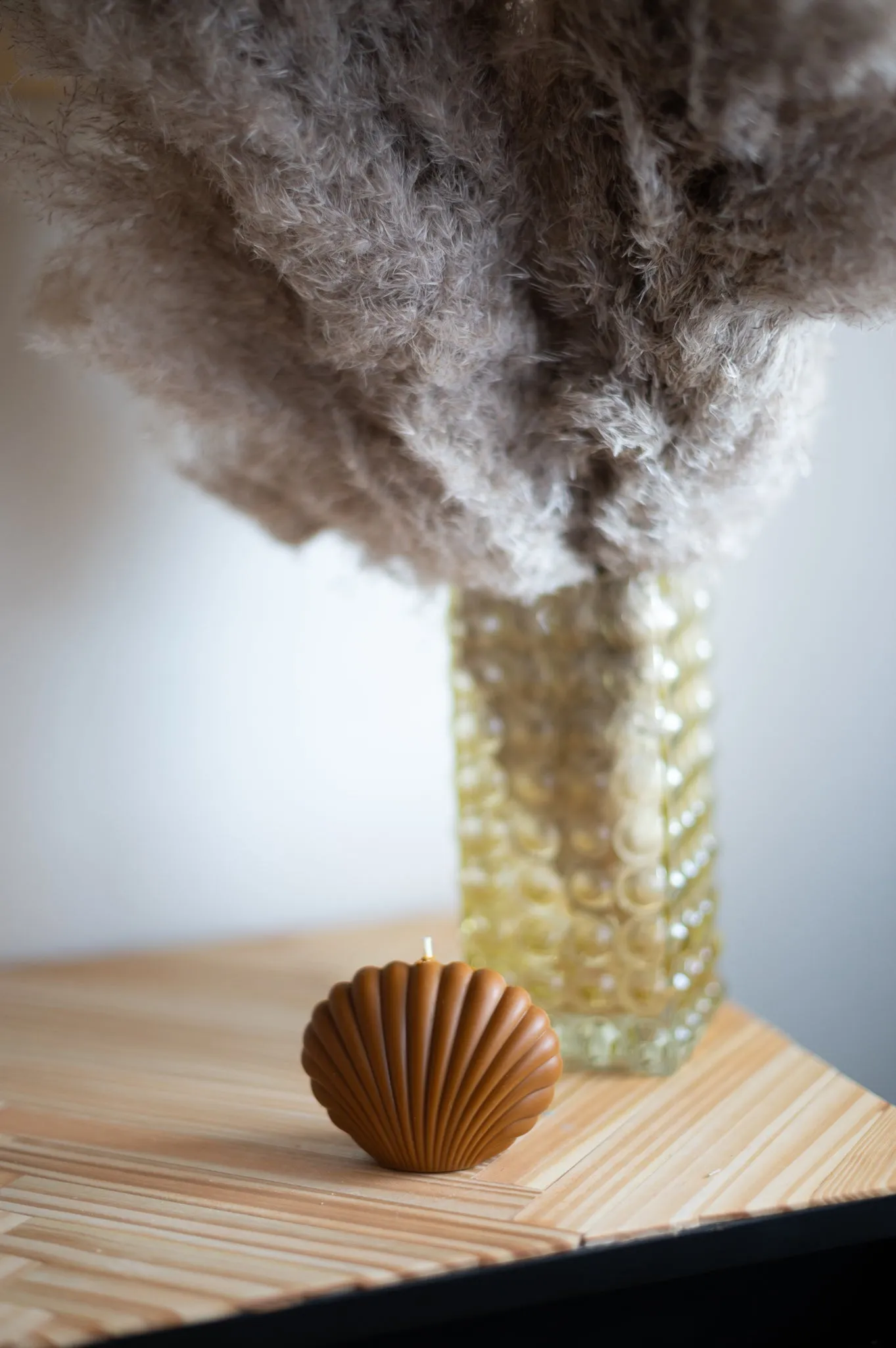 "Shell" Candle Collection