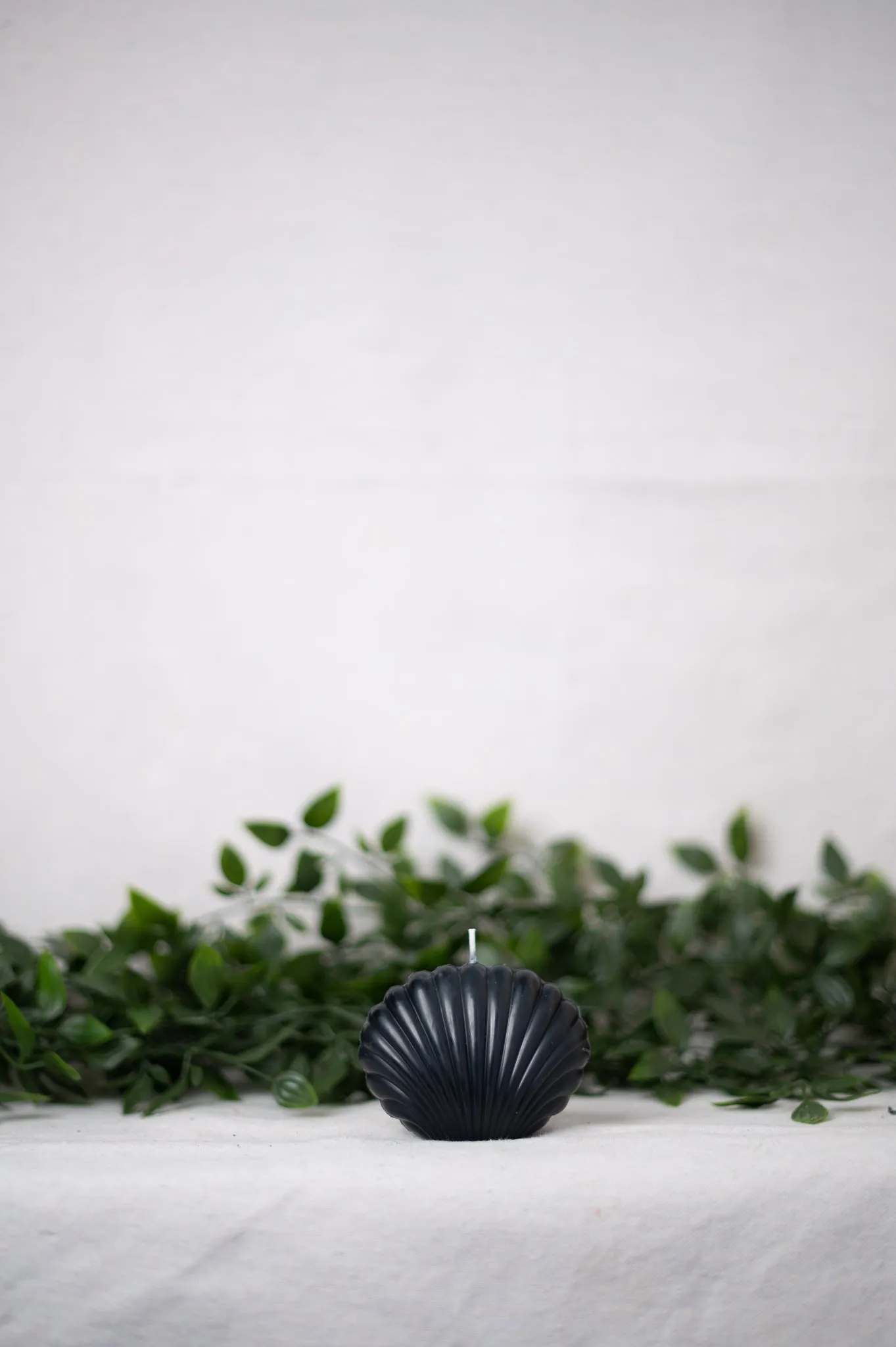 "Shell" Candle Collection