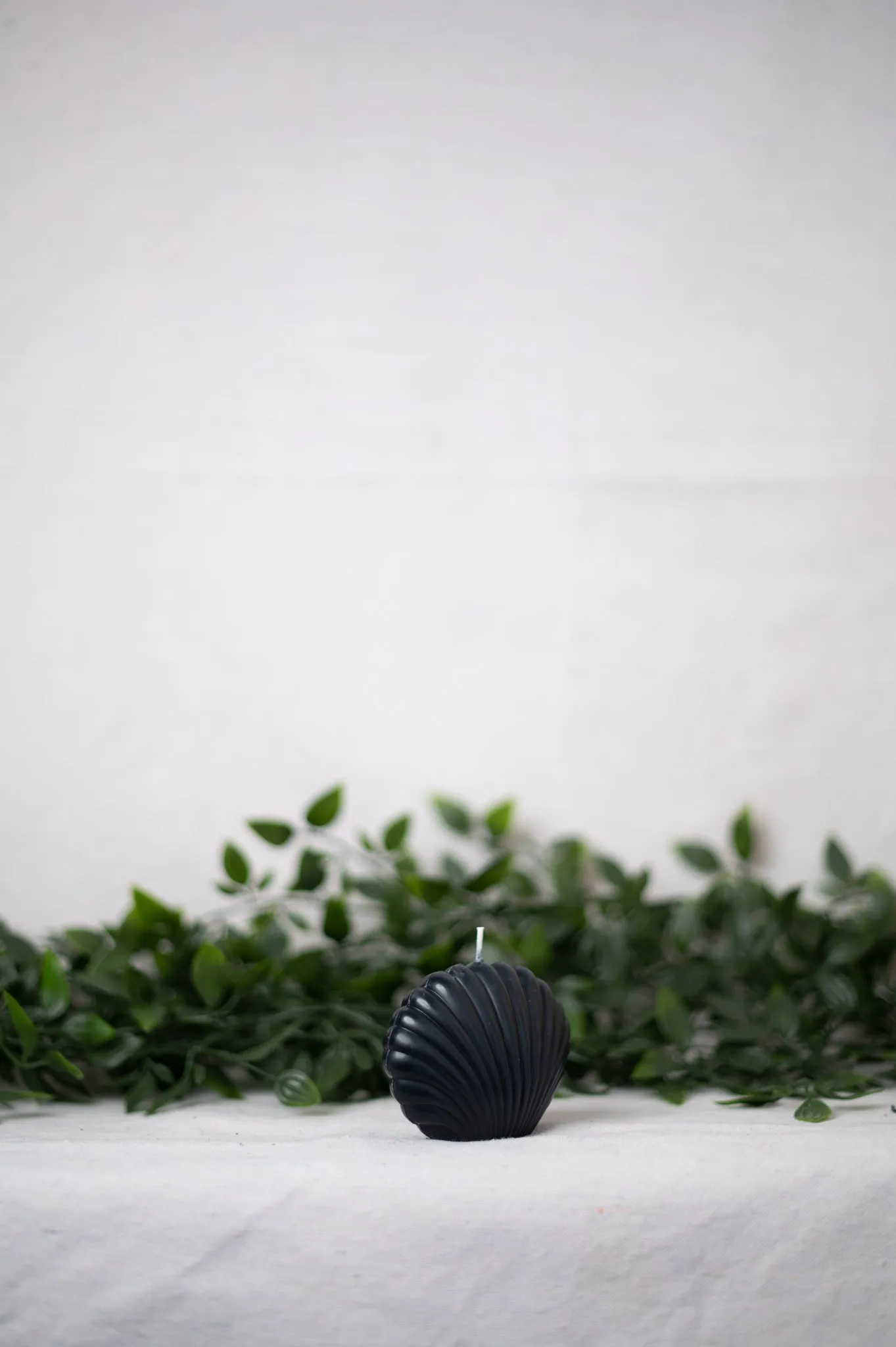 "Shell" Candle Collection