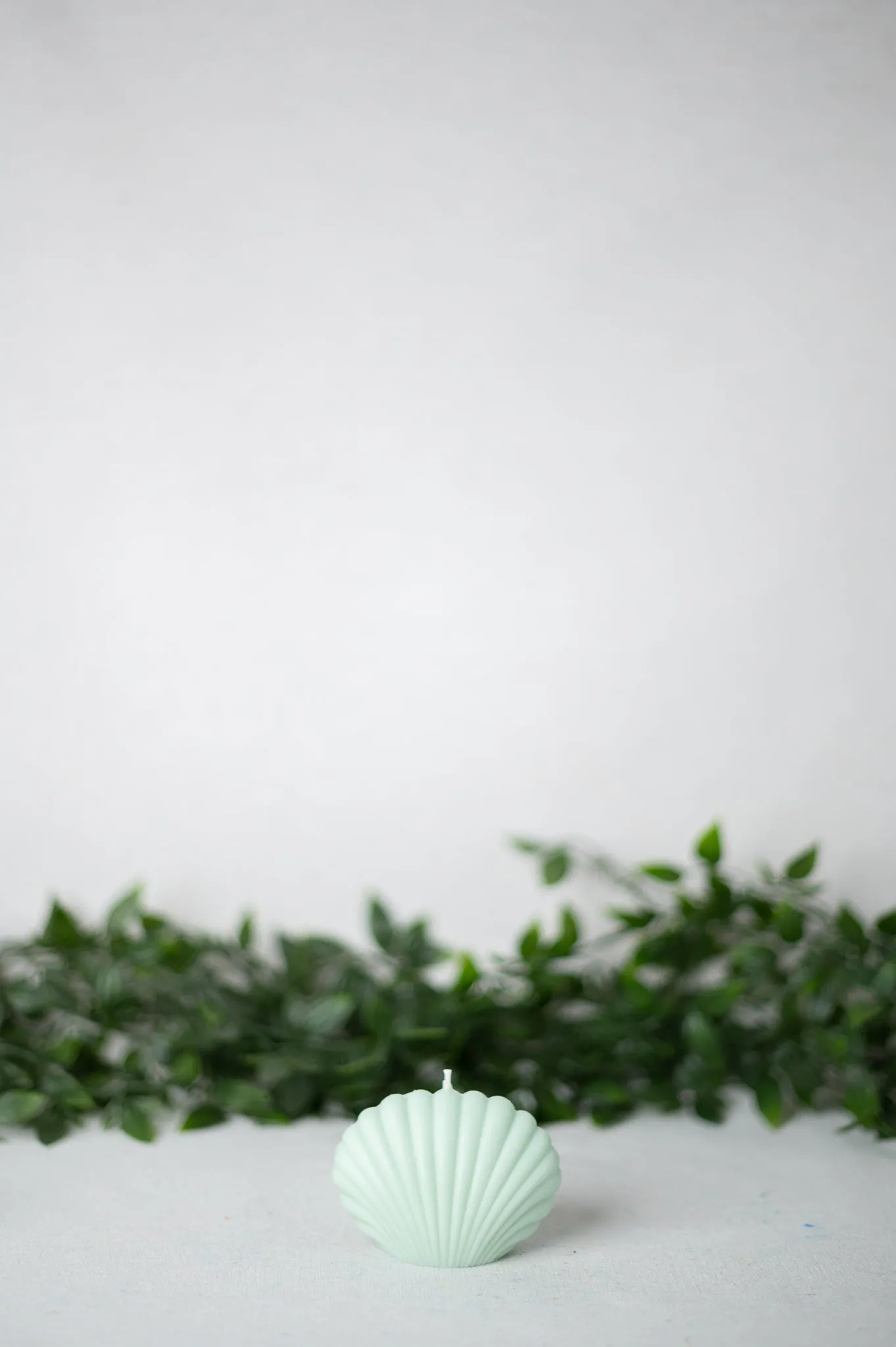 "Shell" Candle Collection